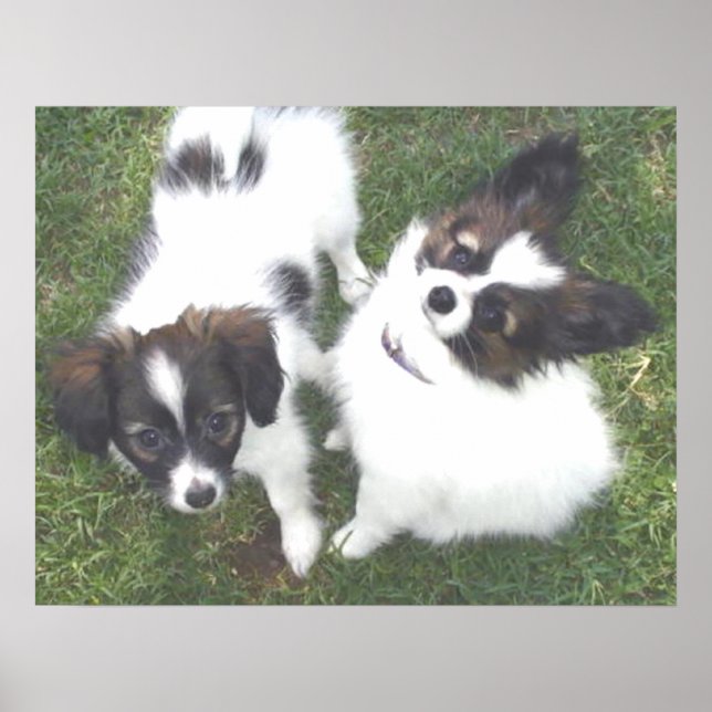 MAX MOLLY POSTER (Front)