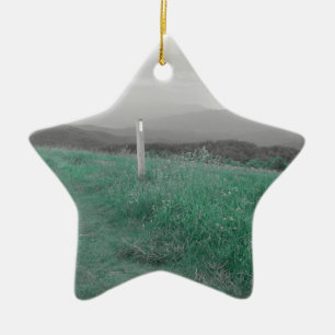 Max Patch Ceramic Tree Decoration