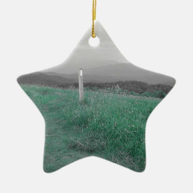 Max Patch Ceramic Tree Decoration (Front)