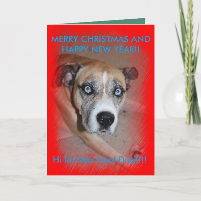 Max Pet Dog Christmas Card (Front)