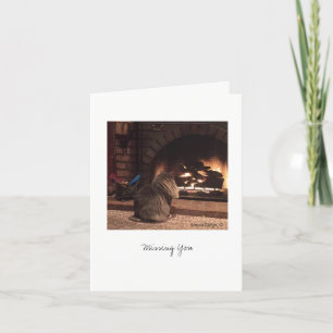 Max the Cat #8 Card