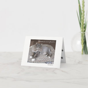 Max the Cat Note card