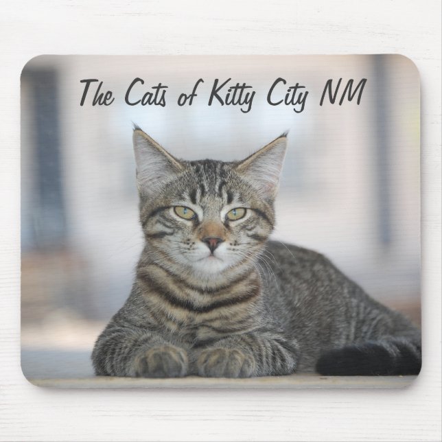 Maximiano 1, The Cats of Kitty City NM Mouse Pad (Front)