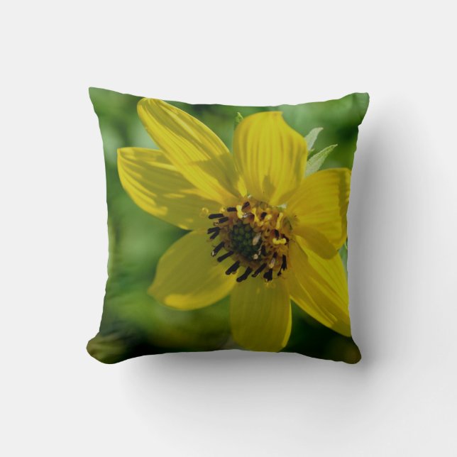 Maximilian Sunflower  Close Up Cushion (Front)
