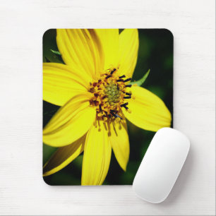 Maximilian Sunflower Flower  Mouse Pad