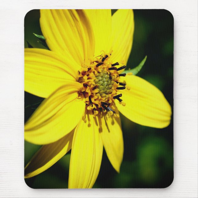 Maximilian Sunflower Flower  Mouse Pad (Front)