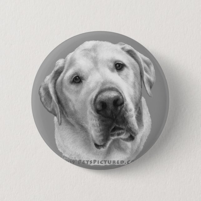 Maxwell, Lab-Pitbull Mix 6 Cm Round Badge (Front)