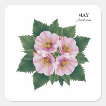 May Birthday Hawthorn Bloom: Personalized Floral