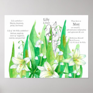May Birthday Lily of the Valley Language of Flower Poster