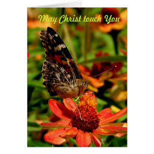 May Christ Touch You