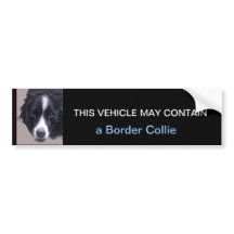 may contain a Border Collie