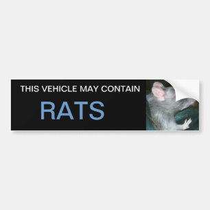 may contain rats bumper sticker