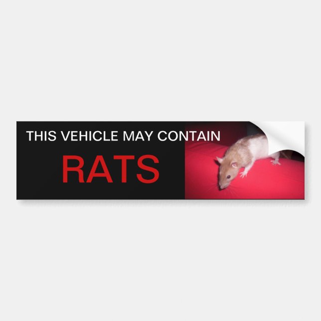 may contain rats bumper sticker (Front)