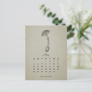 May Customisable Mushroom Vintage 2024 Card