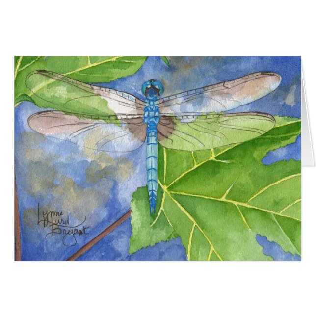 May Dragonfly (Front Horizontal)