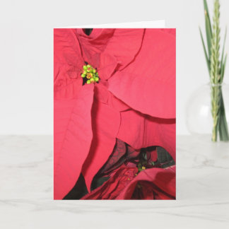 May Holy Angels Card