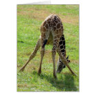 May I Butt In Birthday Card