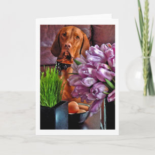 May I have one of those eggs? Holiday Card