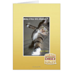 may I haz dis dance?