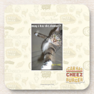 may I haz dis dance? Coaster