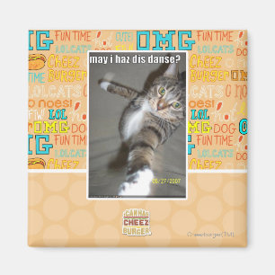 may I haz dis dance? Magnet