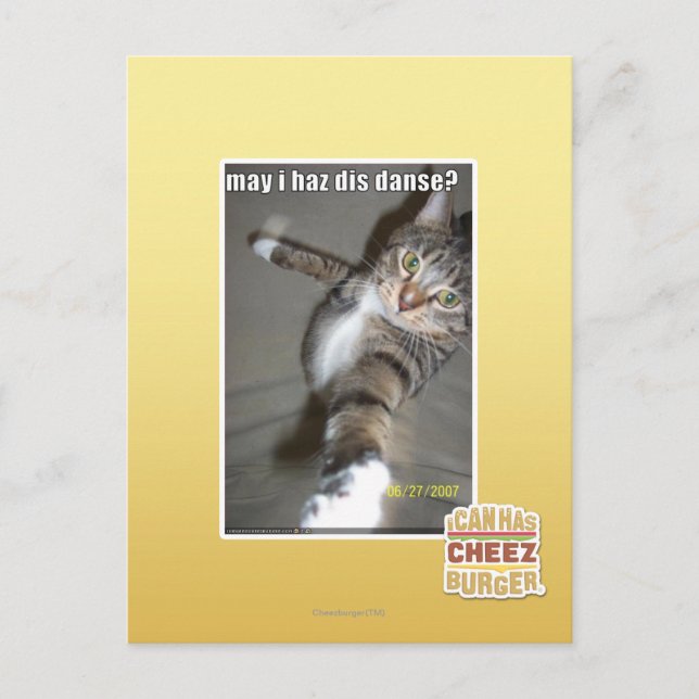 may I haz dis dance? Postcard (Front)