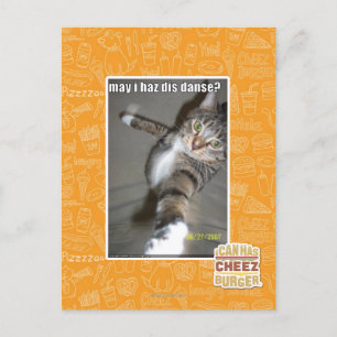 may I haz dis dance? Postcard