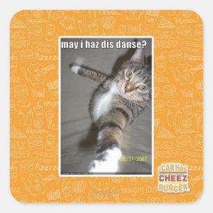 may I haz dis dance? Square Sticker