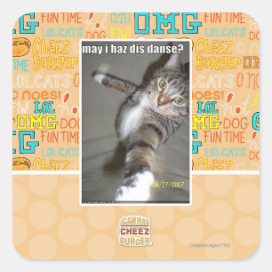 may I haz dis dance? Square Sticker