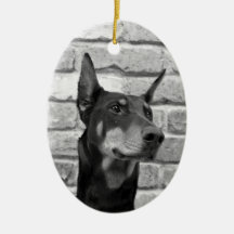 May I Lick Your Face