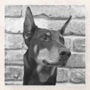 May I Lick Your Face Glass Coaster