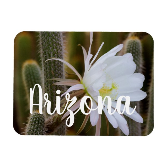 May in the garden, Arizona Magnet (Horizontal)