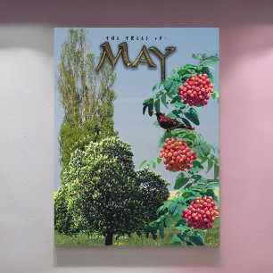 May Month Trees Chestnut Rowan Ash, Poplar Postcard