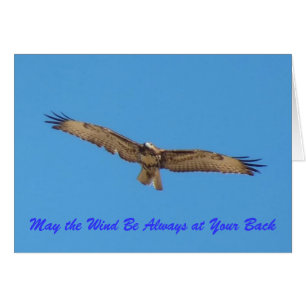 "May the Wind Always be at Your Back...."