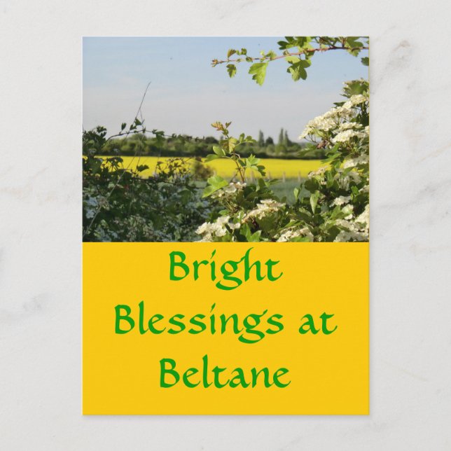 May Tree and Field at Beltane Postcard (Front)