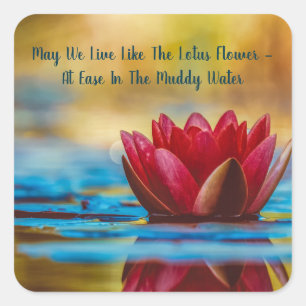 May We Live Like Lotus Flower Quote Inspirational Square Sticker