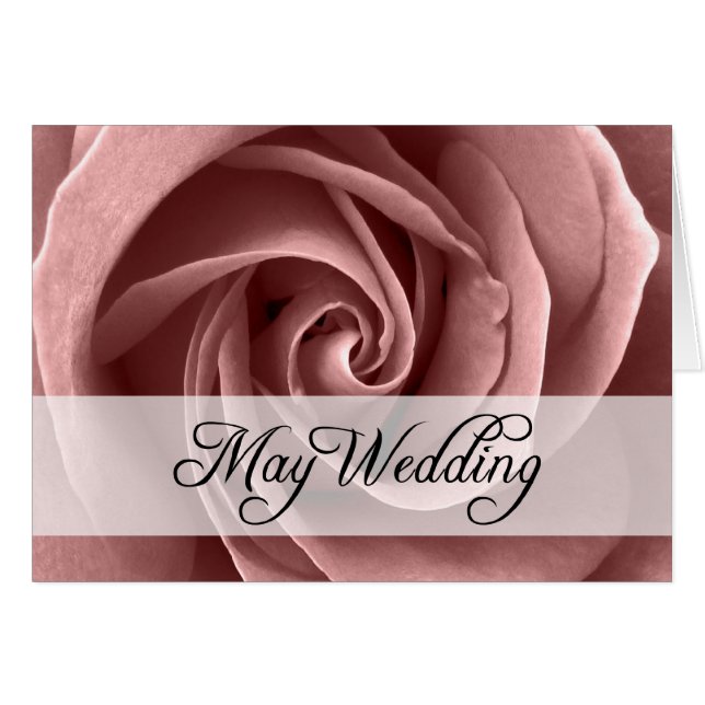May Wedding : rose of the season : (Front Horizontal)