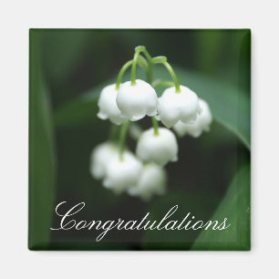 May white lilies magnet
