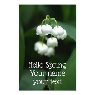 May white lilies photo print