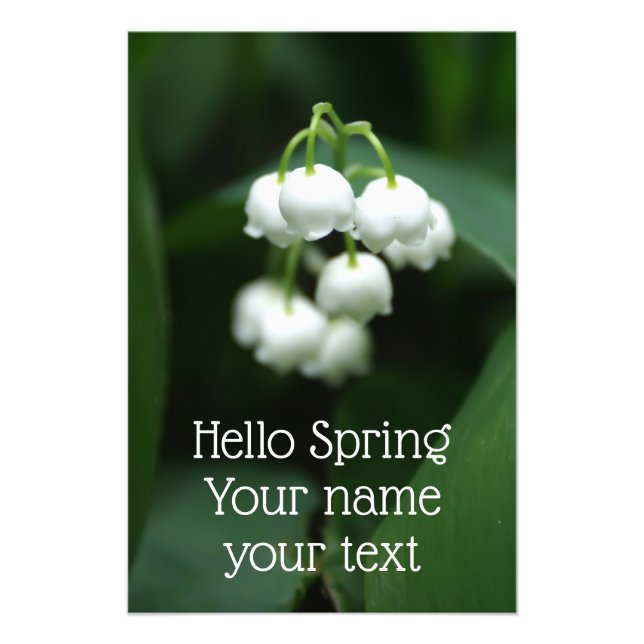 May white lilies photo print (Front)