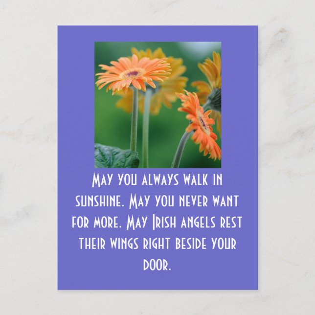 May you always walk in sunshine. M... Postcard (Front)