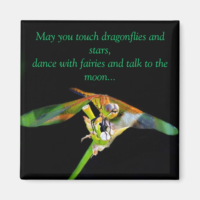 May You Touch Dragonflies Magnet (Front)
