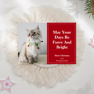 May Your Days Be Furry And Bright Christmas Cat Holiday Card