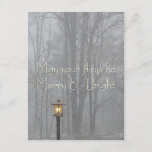 May your days be Merry and Bright Holiday Postcard