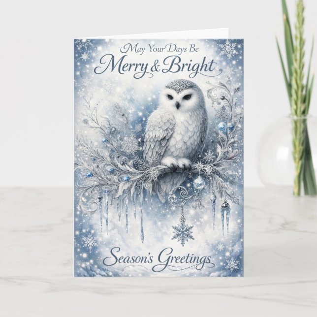 May Your Days Be Merry & Bright – Winter Owl Card (Front)