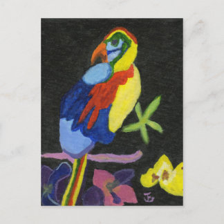 Maya Macaw Postcard