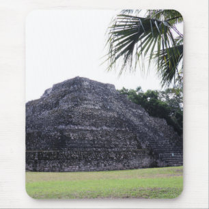 Mayan Memories Mouse Pad