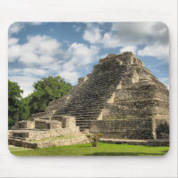 Mayan Pyramid