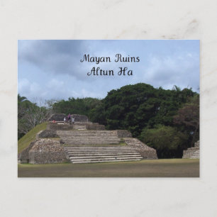 Mayan Ruins, Altun Ha Postcard