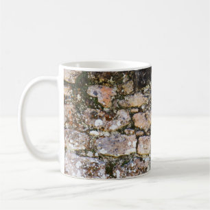 Mayan Ruins Wall Coffee Mug